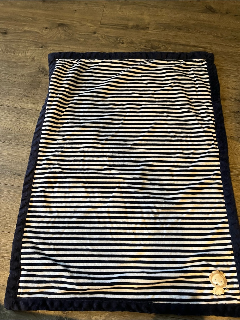 Carter's Child of Mine Plush Navy Baby Blanket